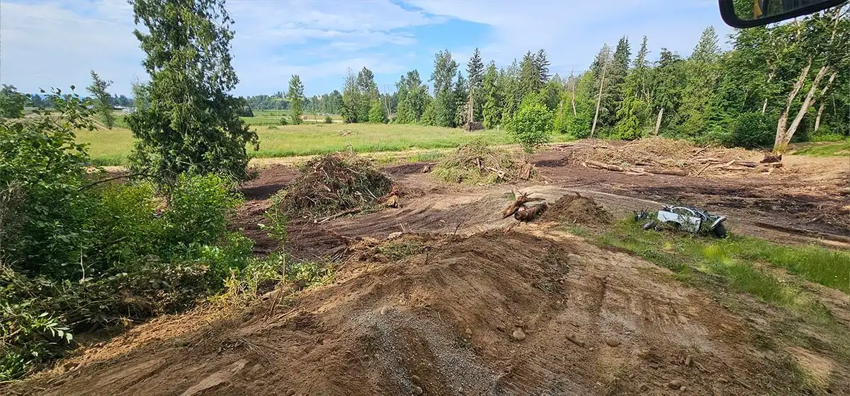 Cleared and grubbed ground