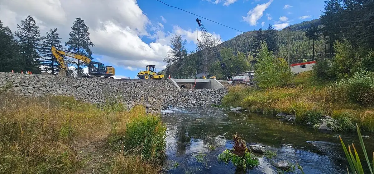 Restored creek channel below the crossing