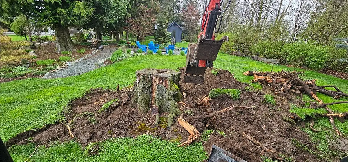 Excavator pulling a stump from a lawn
