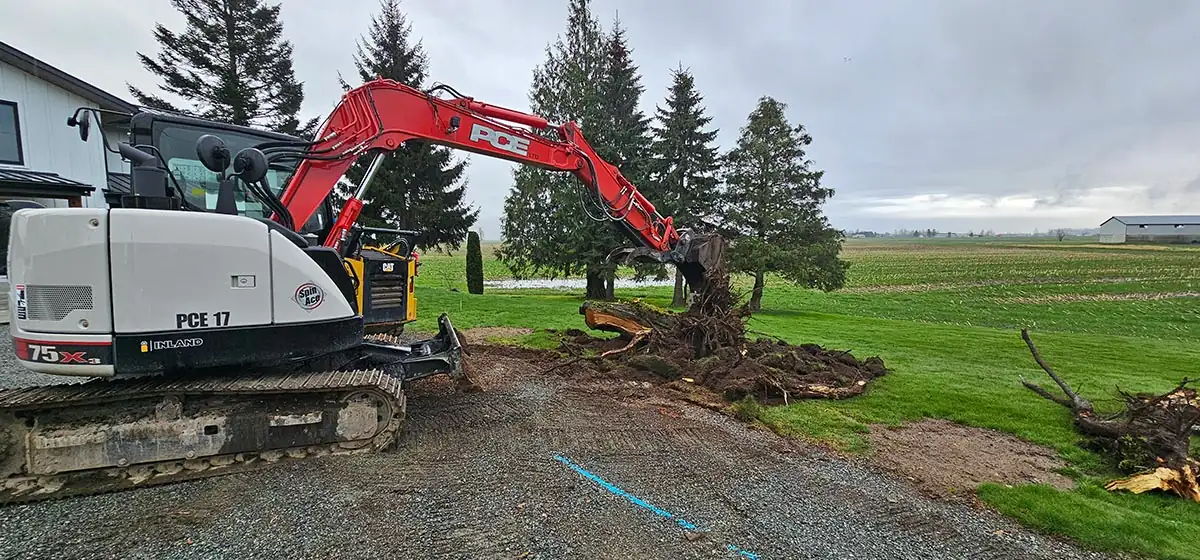 Excavator removing stumps beside a driveway